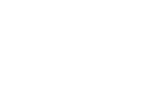 Primatelec expétion rapide
